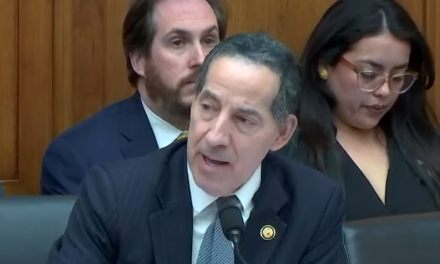 As usual, Jamie Raskin totally fucking nails it…