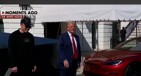 Witness the sheer desperation on Morlon’s pathetic face during this WH PR shitshow. Now watch Tesla’s stock eat shit even faster… 😃